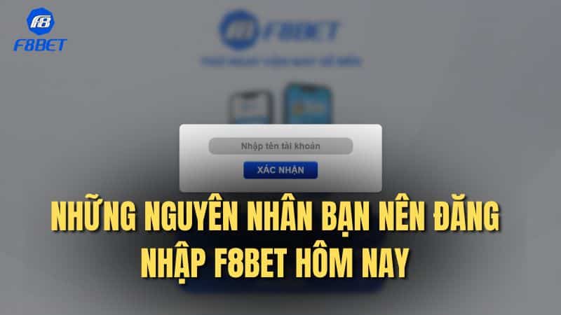 Những nguyên nhân bạn nên đăng nhập F8bet hôm nay