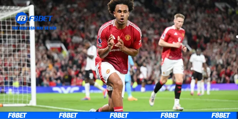 Đọc từng thông số trong soi odds châu Âu